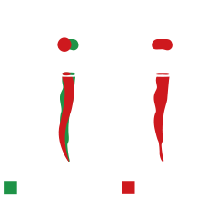 XP-ENDO solutions vs conventional systems